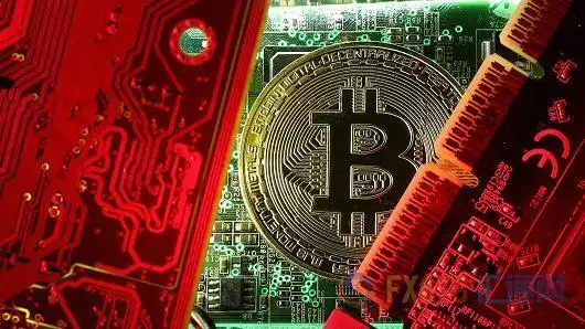 An expansive cryptocurrency mining farm located in Brazil's sunlit interiors