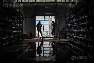A mining rig with multiple GPUs, showcasing the hardware required for Kaspa mining.