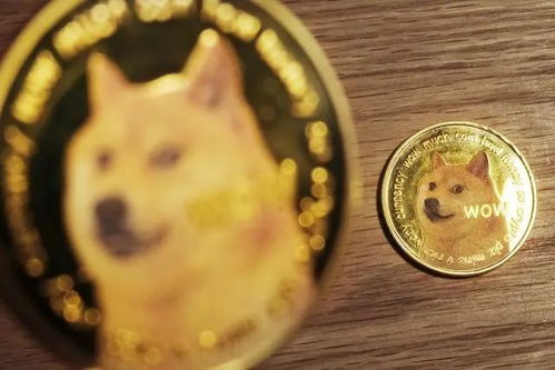 Dogecoin Mining Rig